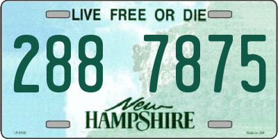 NH license plate 2887875