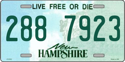 NH license plate 2887923