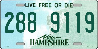 NH license plate 2889119