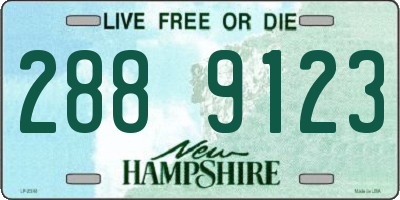 NH license plate 2889123