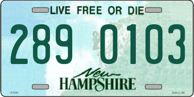 NH license plate 2890103