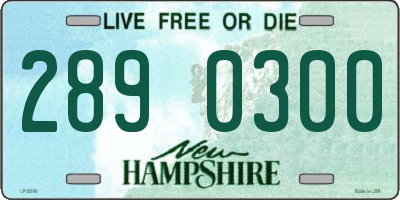 NH license plate 2890300