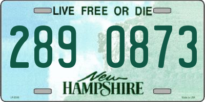 NH license plate 2890873