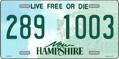 NH license plate 2891003