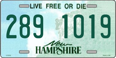 NH license plate 2891019
