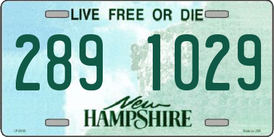 NH license plate 2891029