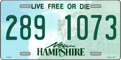 NH license plate 2891073