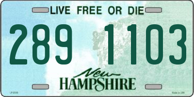 NH license plate 2891103