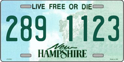 NH license plate 2891123