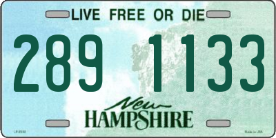 NH license plate 2891133