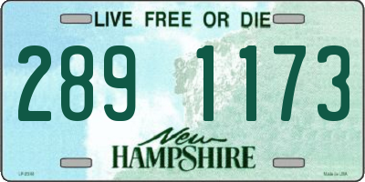 NH license plate 2891173