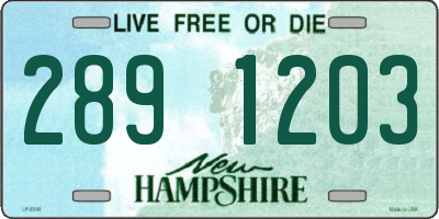 NH license plate 2891203