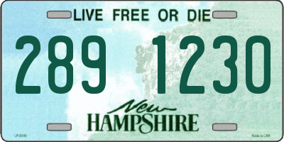 NH license plate 2891230