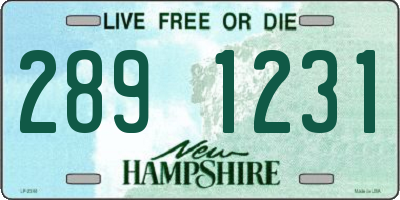 NH license plate 2891231