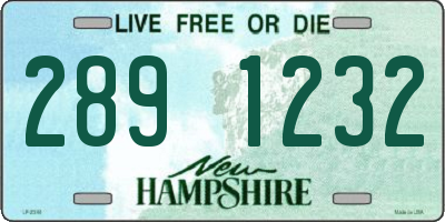 NH license plate 2891232