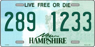 NH license plate 2891233