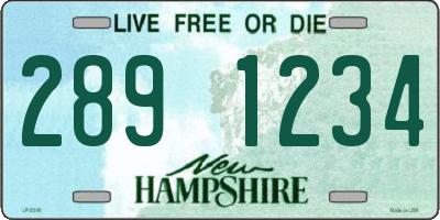 NH license plate 2891234