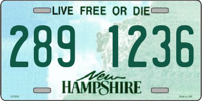 NH license plate 2891236