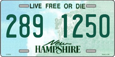 NH license plate 2891250