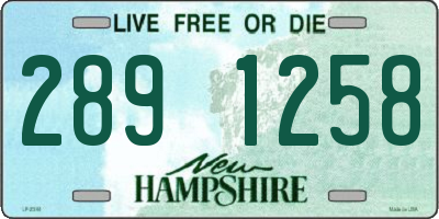 NH license plate 2891258