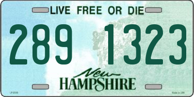 NH license plate 2891323