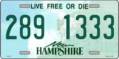 NH license plate 2891333