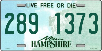 NH license plate 2891373
