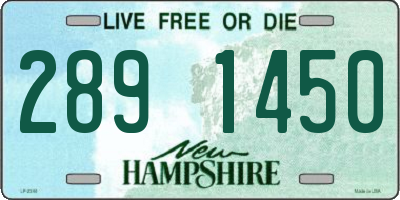 NH license plate 2891450