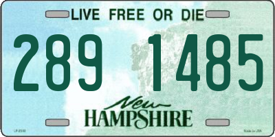 NH license plate 2891485