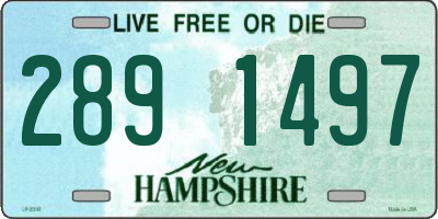NH license plate 2891497