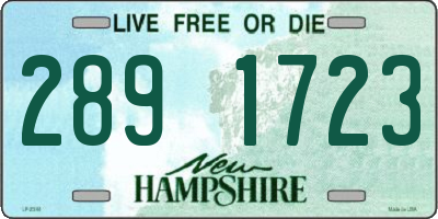 NH license plate 2891723