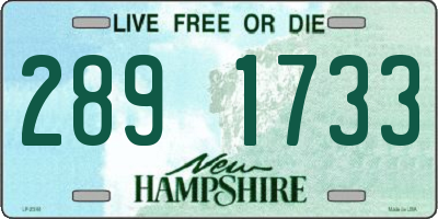 NH license plate 2891733