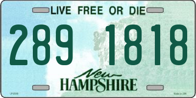 NH license plate 2891818