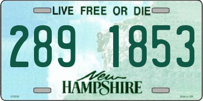NH license plate 2891853