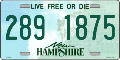 NH license plate 2891875