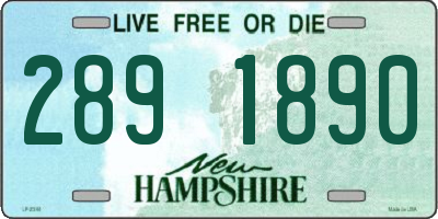 NH license plate 2891890