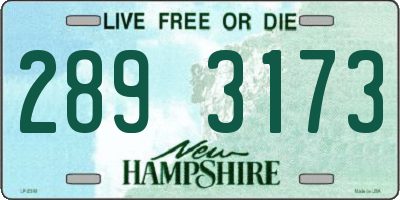 NH license plate 2893173