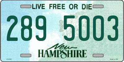 NH license plate 2895003