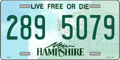 NH license plate 2895079