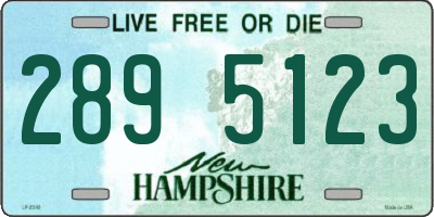 NH license plate 2895123