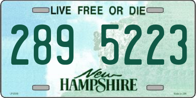 NH license plate 2895223