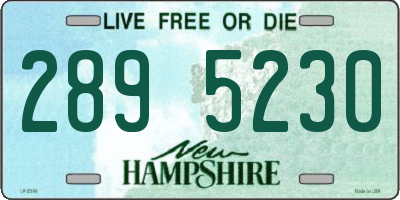 NH license plate 2895230