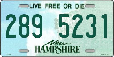 NH license plate 2895231