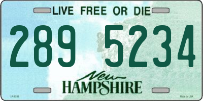 NH license plate 2895234