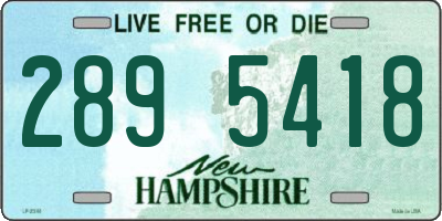 NH license plate 2895418