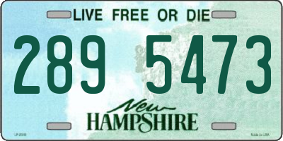 NH license plate 2895473