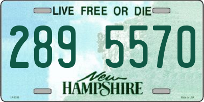NH license plate 2895570