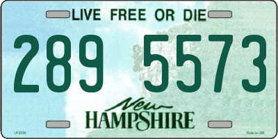 NH license plate 2895573
