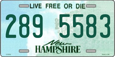 NH license plate 2895583
