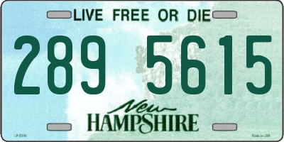 NH license plate 2895615